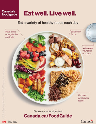 Canada's Food Guide 2019: Eat well. Live well. Snapshot
